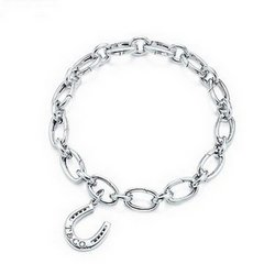 Tiffany horse shoe charm bracelet